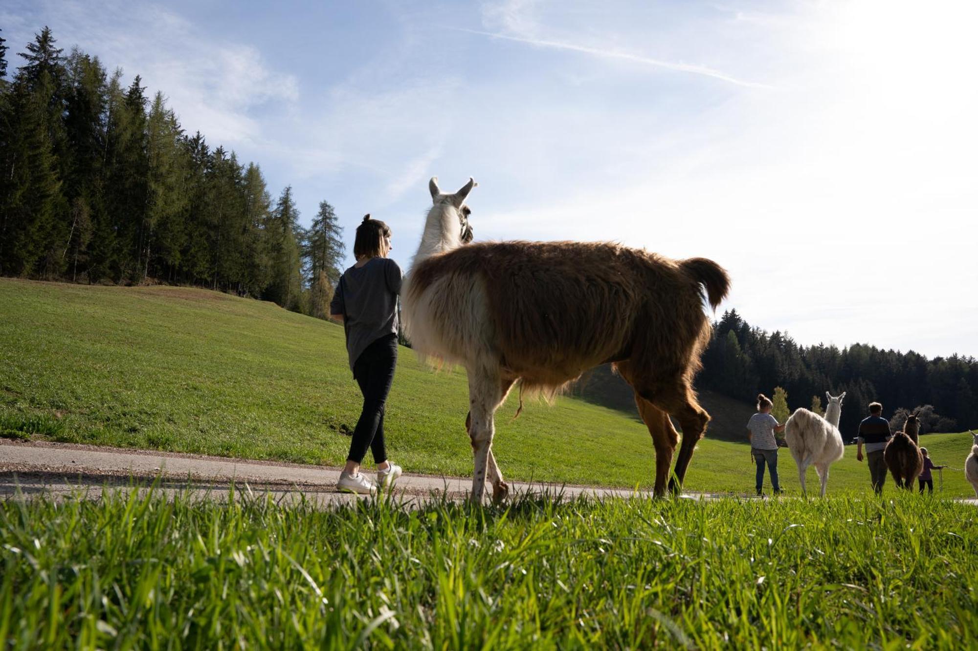 Schupferhof Lägenhet Petersberg Exteriör bild
