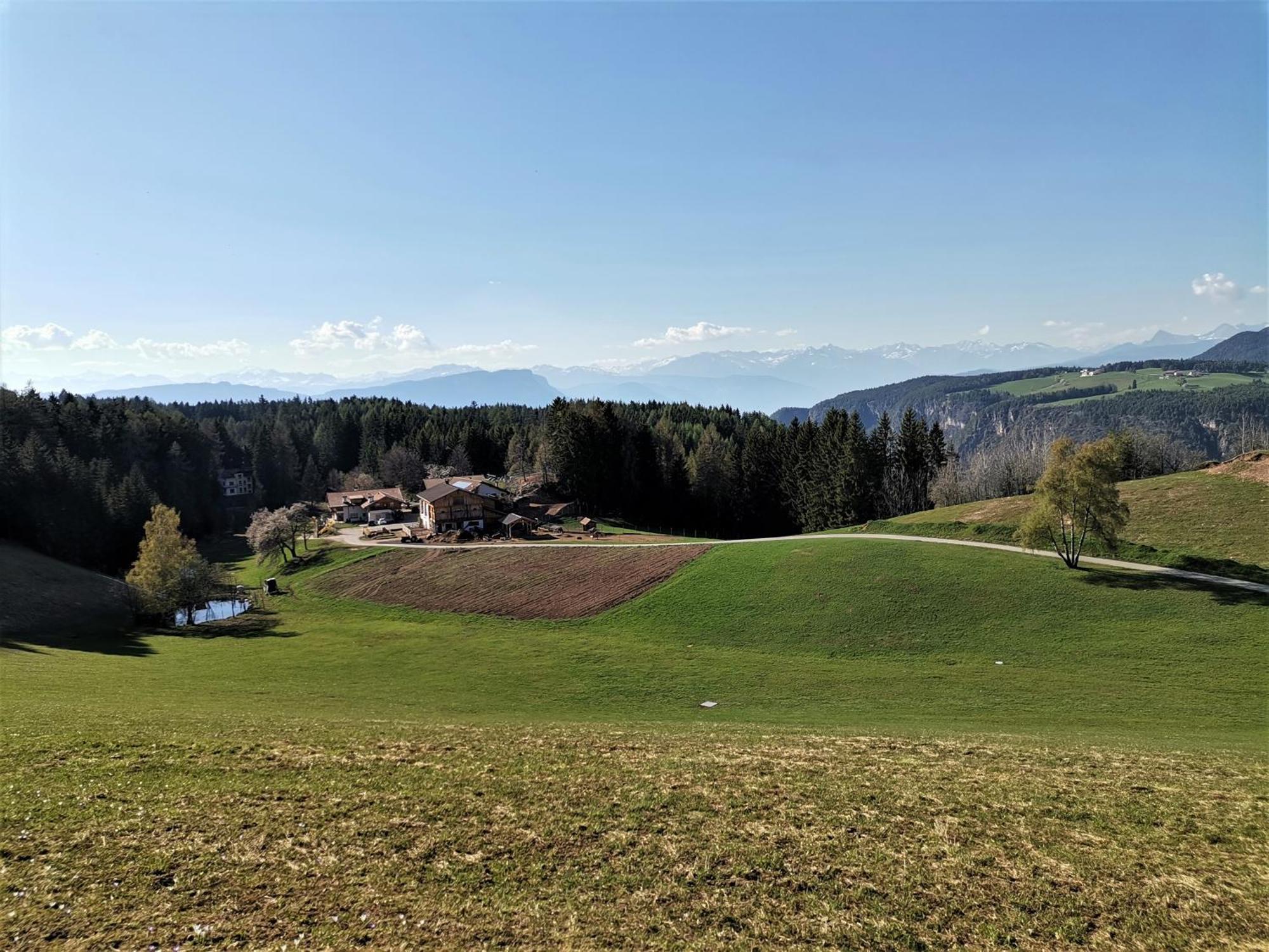 Schupferhof Lägenhet Petersberg Exteriör bild