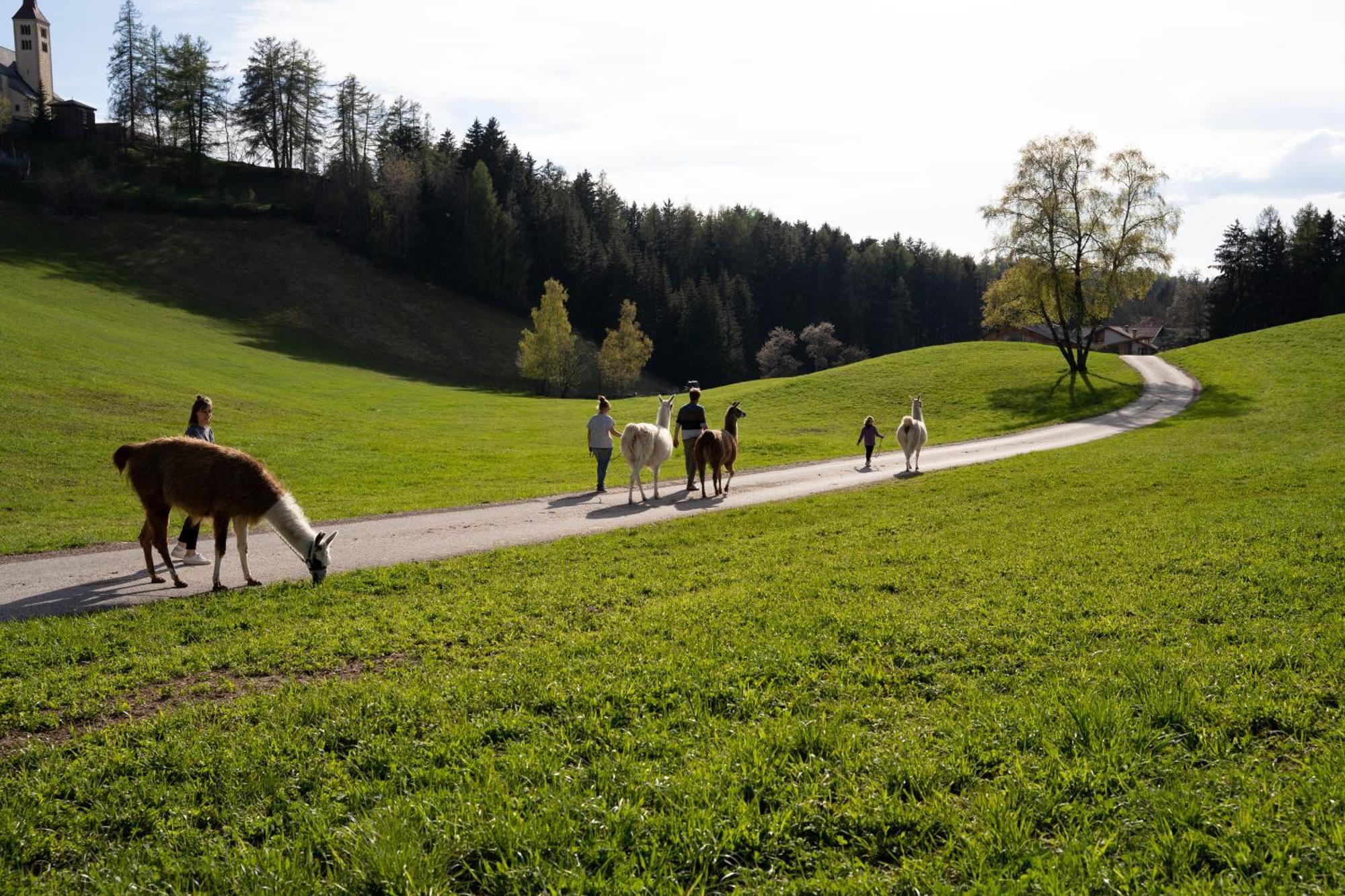 Schupferhof Lägenhet Petersberg Exteriör bild