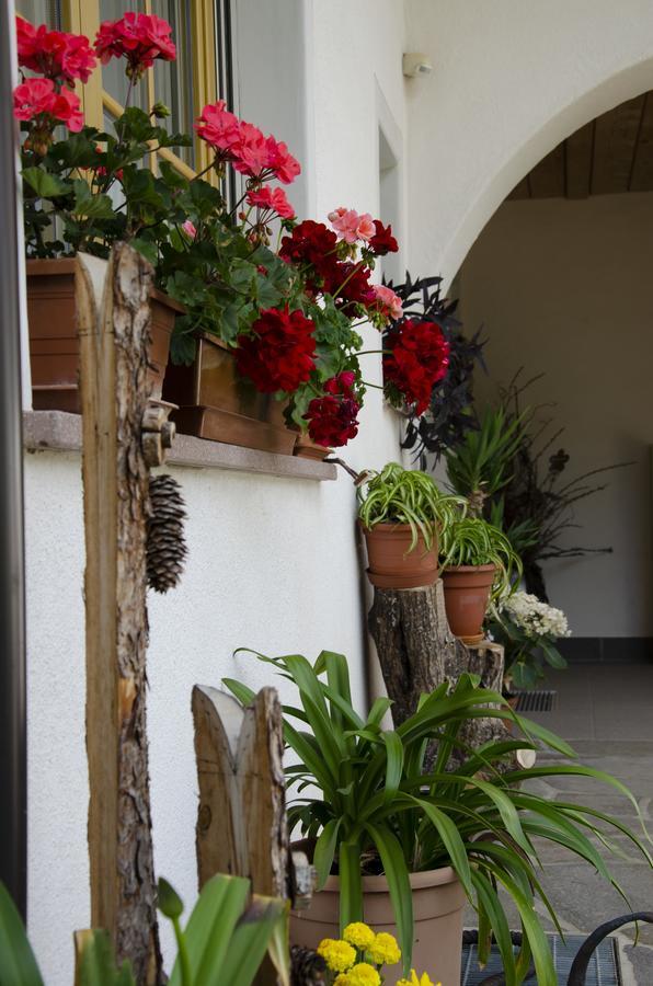 Schupferhof Lägenhet Petersberg Exteriör bild